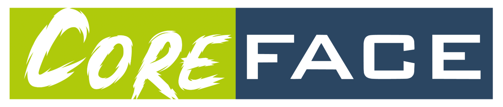 CoreFace Logo